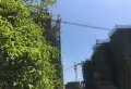九龙十一度楼盘图31
