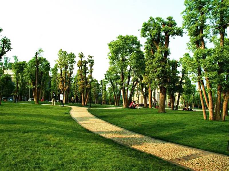 ,,金科集美嘉悦