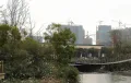 金雁蔚蓝丽景户型图