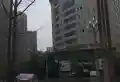 美信国际花园城楼盘图47
