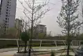 新滨湖孔雀城楼盘图69