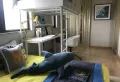 孔雀王府楼盘图105