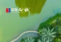 华发又一城楼盘图35