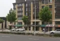 天泰书院康城楼盘图12