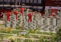 龙湖龙誉城楼盘图20