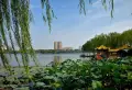 金科城楼盘图146
