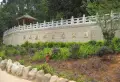 佳兆业城市广场楼盘图64