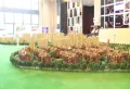 新力帝泊湾楼盘图8