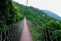 国美·海棠湾楼盘图43