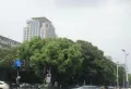 丰和国际楼盘图11
