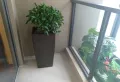 新力城楼盘图61