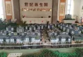 巴马世纪养生园楼盘图4