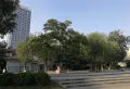 金桥国际楼盘图42