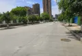 金路怡心苑楼盘图3