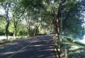 奥园铂翠中央楼盘图29