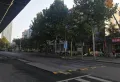 金桥国际楼盘图98