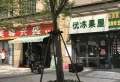 新力东园楼盘图90