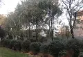鲁商御龙湾楼盘图77