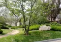 济南中麓府楼盘图126
