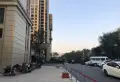 鲁商御龙湾楼盘图41