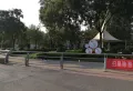 金桥国际楼盘图51