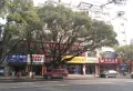 九洲华府楼盘图15