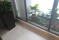 新力城楼盘图97