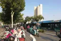 金桥国际楼盘图35