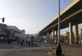 金桥国际楼盘图61