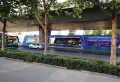 金桥国际楼盘图46