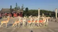 银丰科技公园户型图55