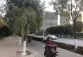 鲁商御龙湾楼盘图53