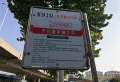 金桥国际楼盘图36