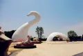 滨江明珠楼盘图96