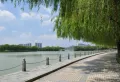 保惠蜂鸟楼盘图57
