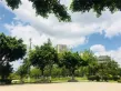 云铜时代之窗户型图