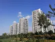大华紫郡户型图119