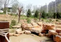 济南中麓府楼盘图111