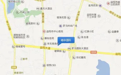 雄森国际楼盘图