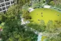 中骏新天地楼盘图10