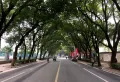 保利洪都里楼盘图47