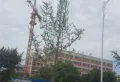 德阳万达广场楼盘图19