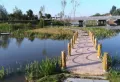 鑫隆颐景城楼盘图24