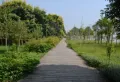 龙湾上城楼盘图7