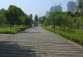 龙湾上城楼盘图3