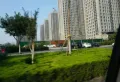 鲁坤天鸿坤园楼盘图14