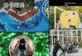 复茂·和悦府楼盘图64