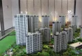 阳光城丽景公馆楼盘图19