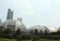 金科城楼盘图149