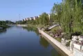 鑫隆颐景城楼盘图22